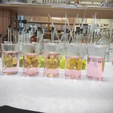 Картинка преимущества